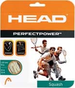 Head PerfectPower